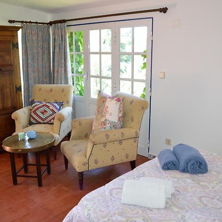 Quinta Do Chaparrinho Villa Sardoal Luaran gambar