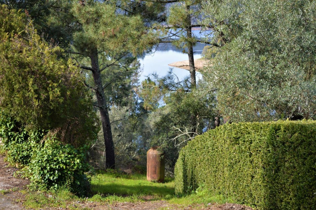 Quinta Do Chaparrinho Villa Sardoal Luaran gambar