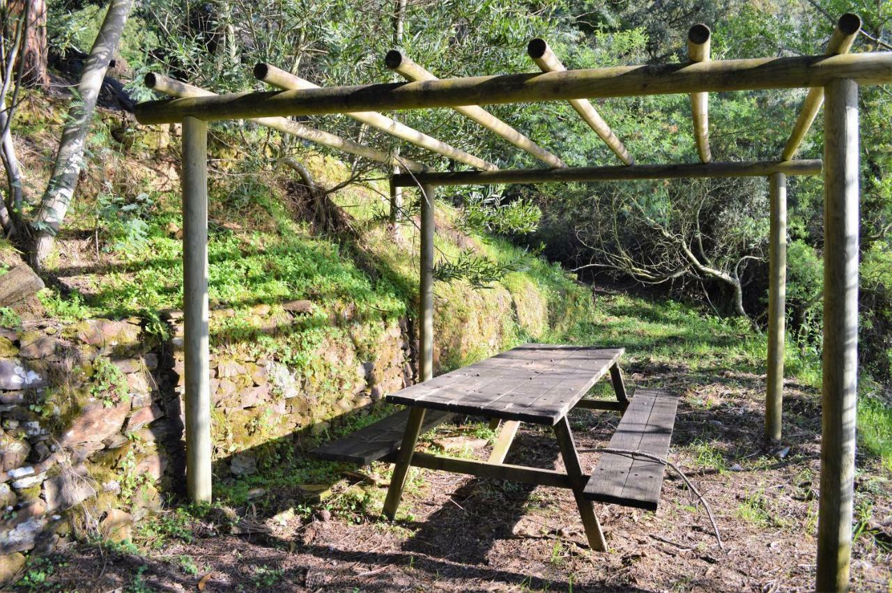 Quinta Do Chaparrinho Villa Sardoal Luaran gambar